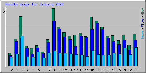 Hourly usage for January 2023
